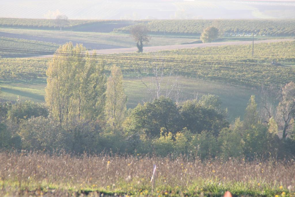 Rouge Calme Et Nature Holiday home