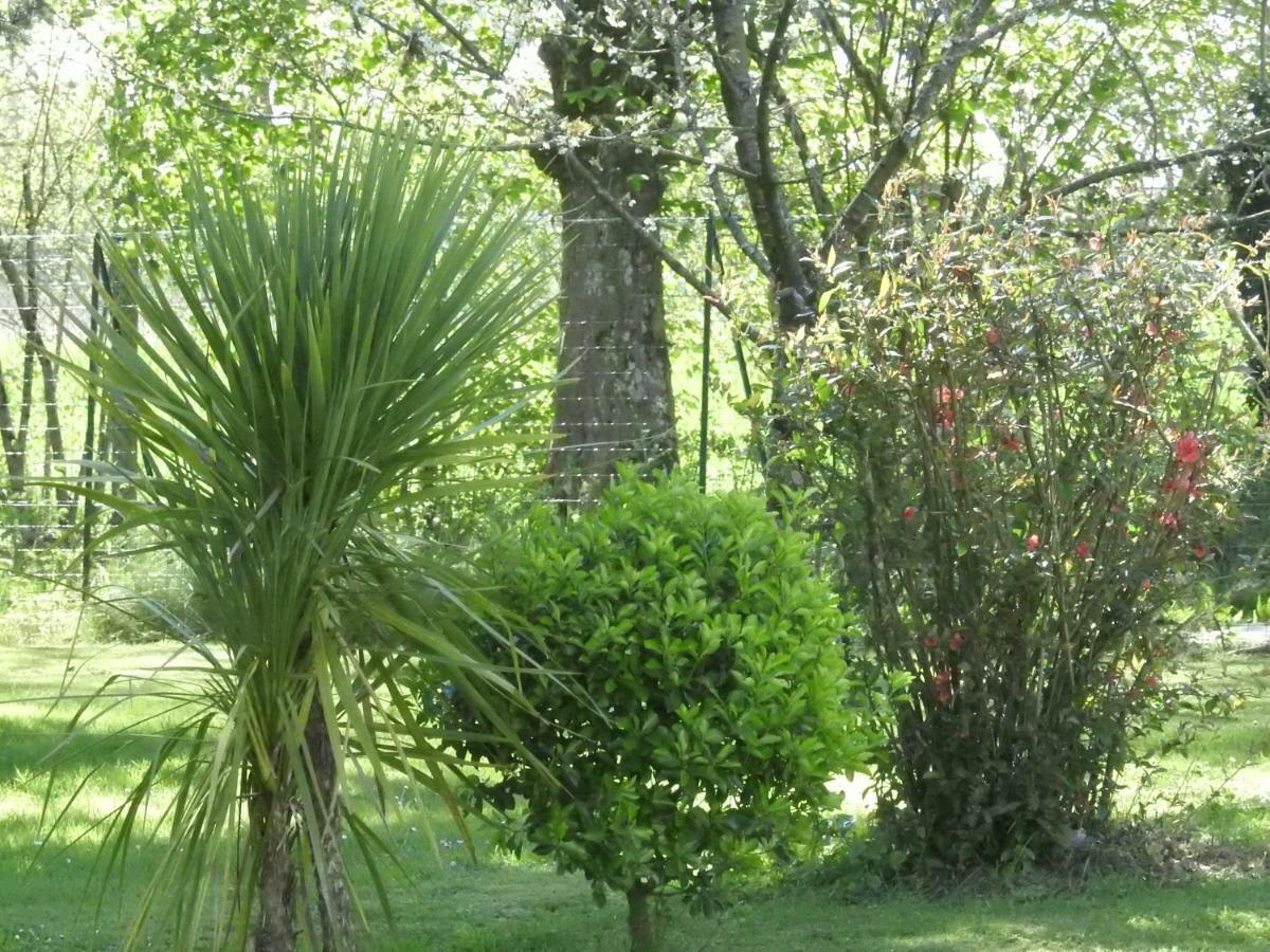 Holiday home Rouge Calme Et Nature Allas-Bocage