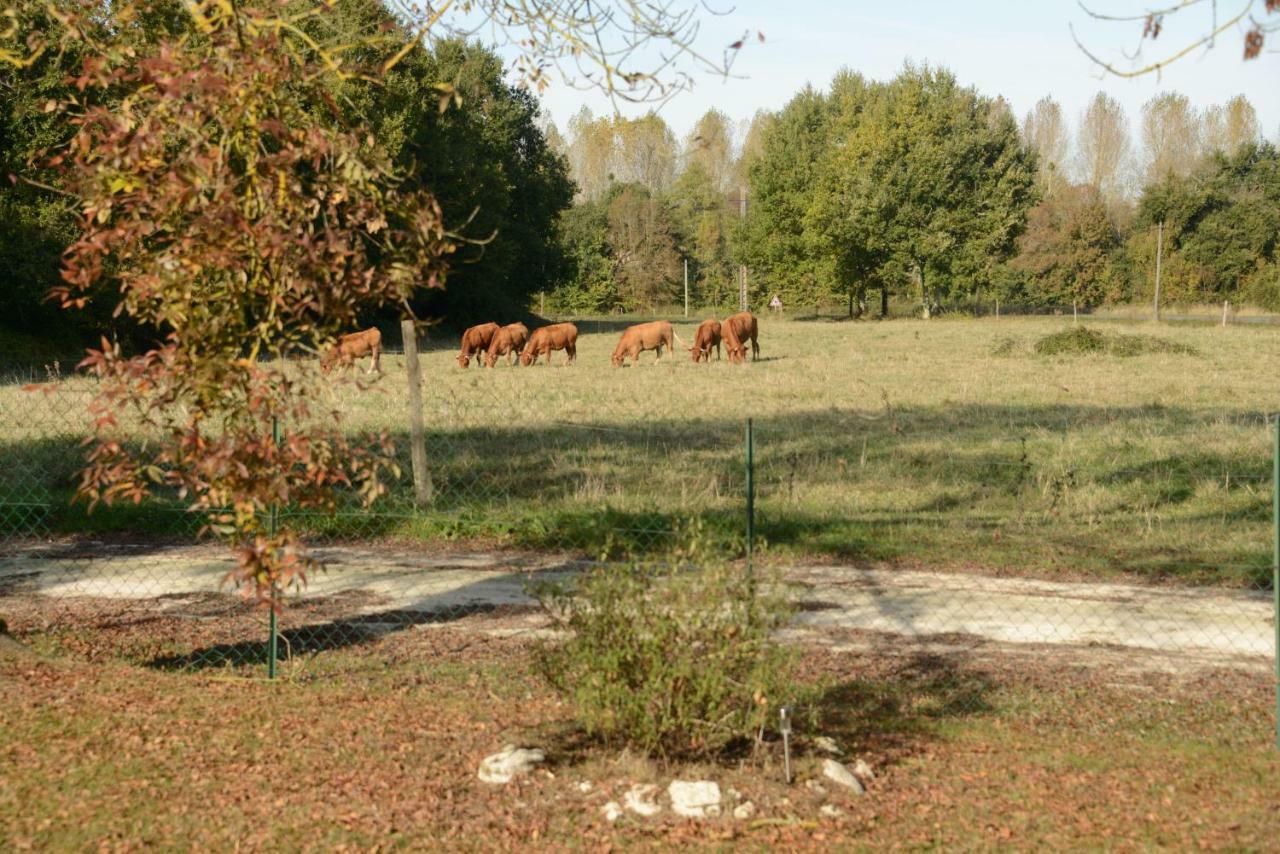 Holiday home Rouge Calme Et Nature Allas-Bocage