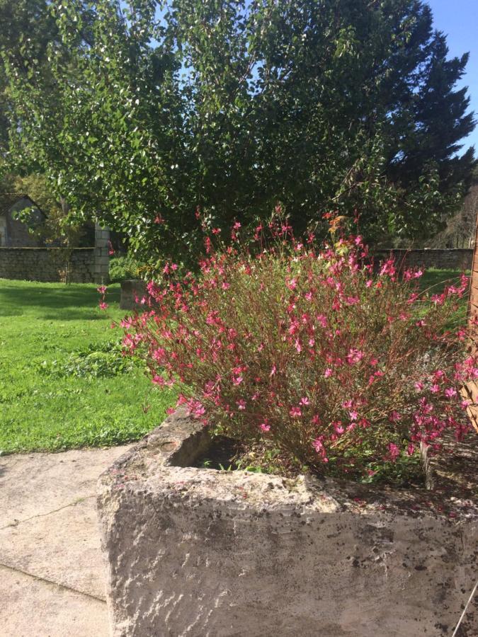 Rouge Calme Et Nature Allas-Bocage
